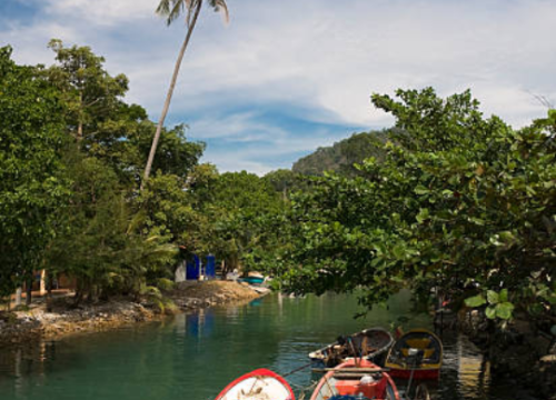 Kerala Tour Packages