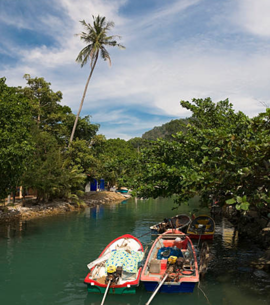 Kerala Tour Packages