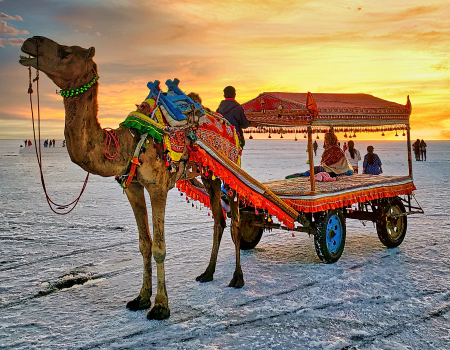 Discovery Gujarat