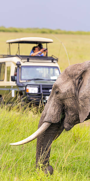 Kenya Tour Packages