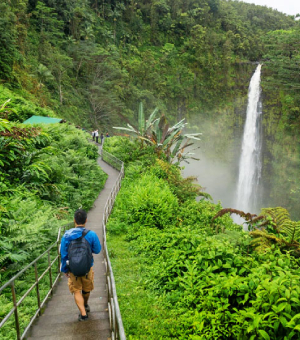 Mauritius Tour Packages
